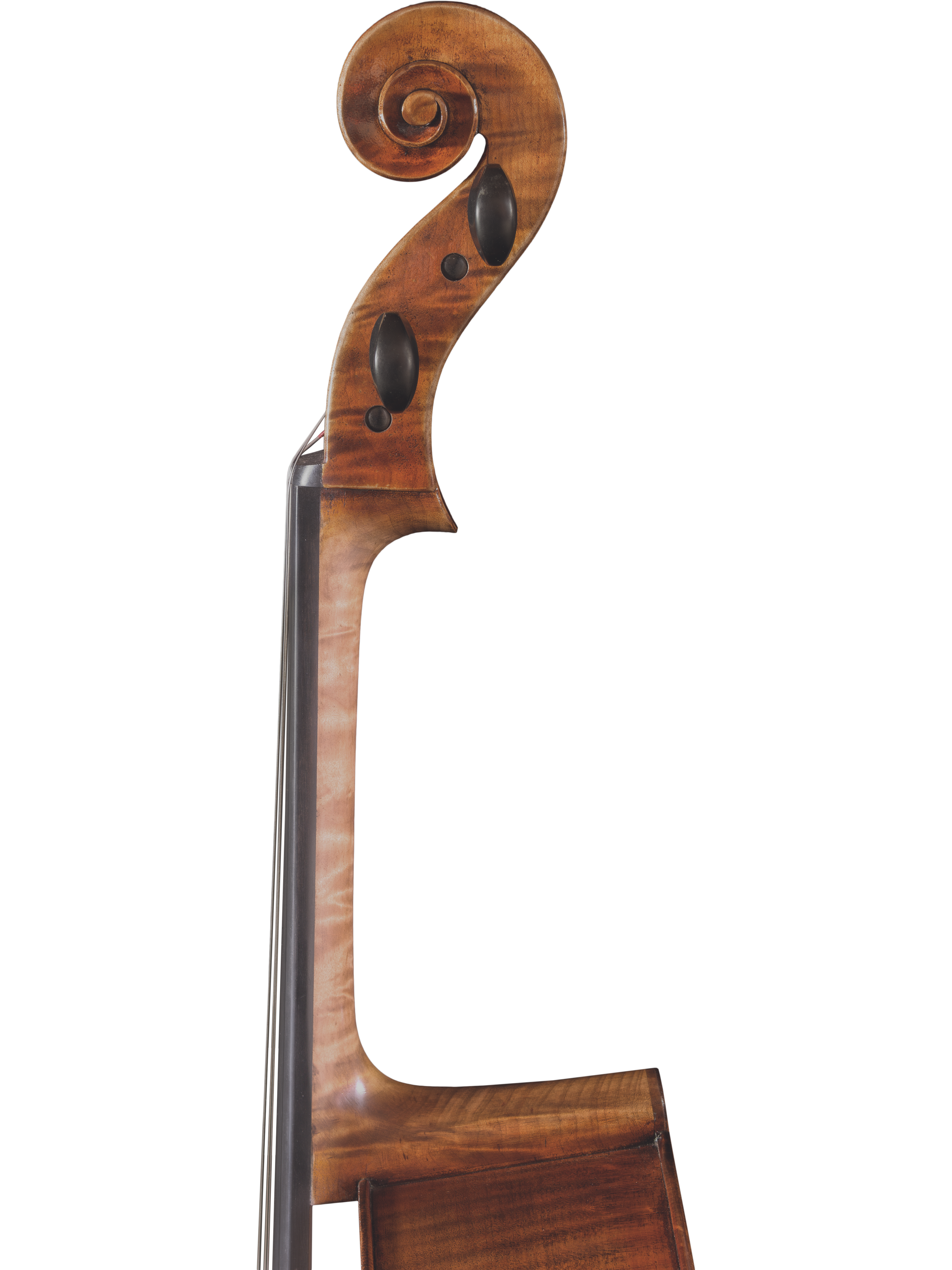 Lady Claire Cello — Maple Leaf Strings